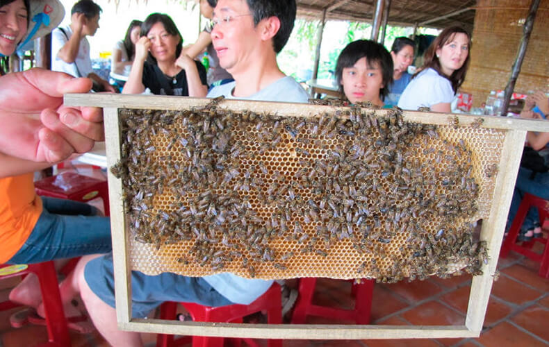 Bee farm in Phung islet