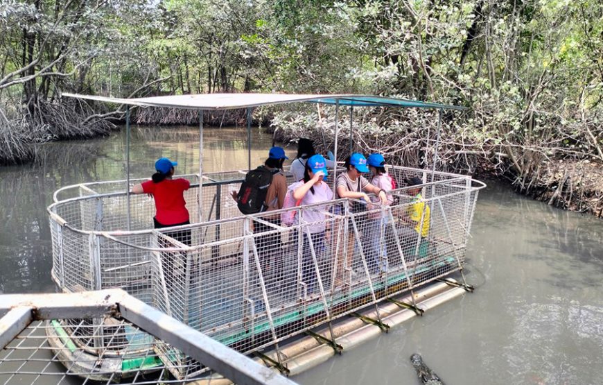 Can Gio Ecological Tour By Bus