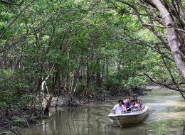Can Gio Ecological Tour By Bus