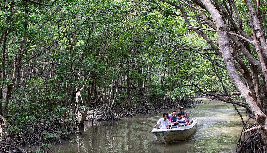 Can Gio Ecological Tour By Bus