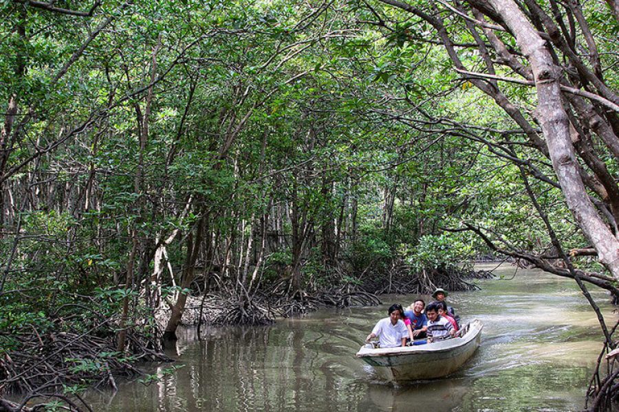 Can Gio Ecological Tour By Bus