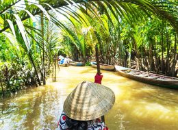 Cu Chi Tunnels and Mekong Delta Tour