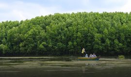 Can Gio Mangrove Forest Tour By Luxury Speedboat