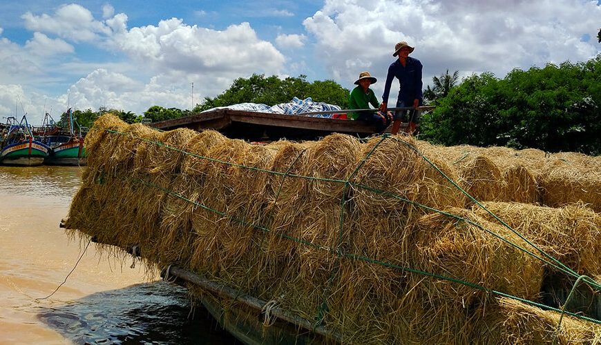 explore Ben Tre