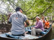 Can Gio Mangrove Forest Tour By Luxury Speedboat