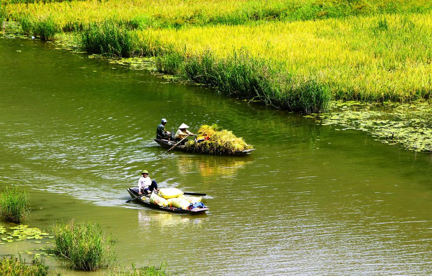 Ha Noi – Ha Long – Sapa – Bac Ha Market – Ninh Binh (8 Days)