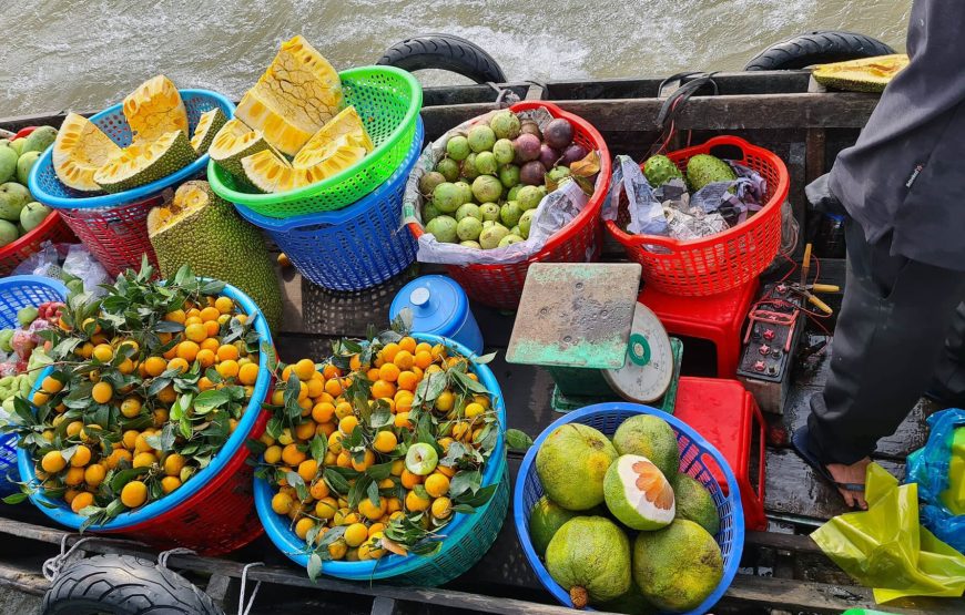 Mekong Delta 2 day tour: My Tho – Vinh Long – Can Tho