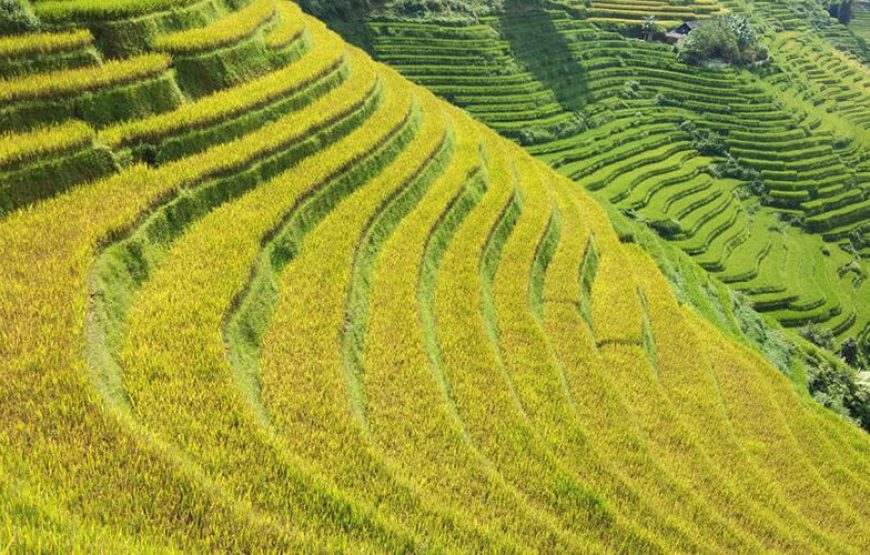 Sapa Trekking Tours – 3 Nights 2 Days