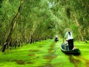 Mekong Delta Discovery 3 days 2 nights