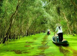 Mekong Delta Discovery 3 days 2 nights
