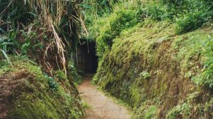 Vinh Moc Tunnels