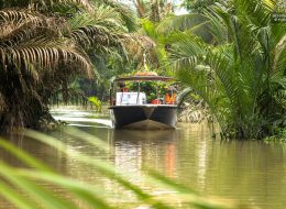 Mekong Delta Speed Boat Tour