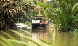Mekong Delta Speed Boat Tour