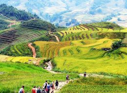 Northern Vietnam Ha Noi – Ha Long – Sapa