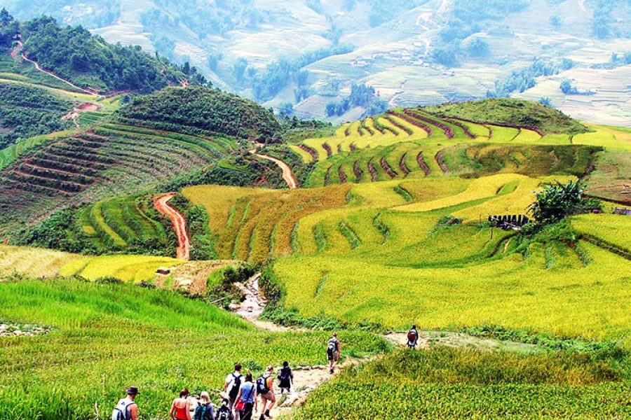 Northern Vietnam Ha Noi – Ha Long – Sapa