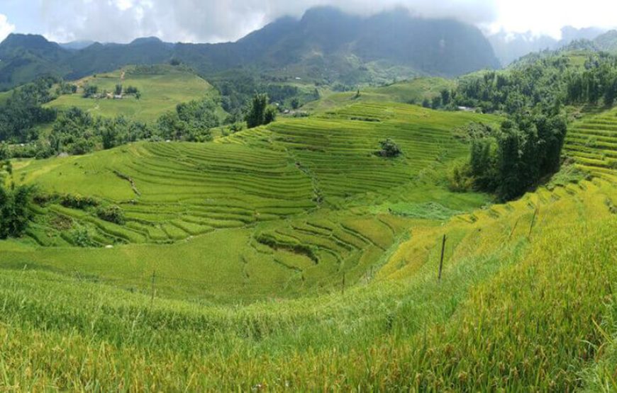 Ha Noi – Ha Long – Sapa – Bac Ha Market – Ninh Binh (8 Days)