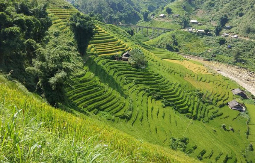 Ha Noi – Ha Long – Sapa – Bac Ha Market – Ninh Binh (8 Days)