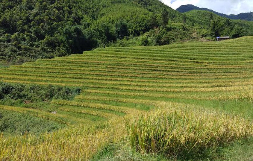 Ha Noi – Ha Long – Sapa – Bac Ha Market – Ninh Binh (8 Days)