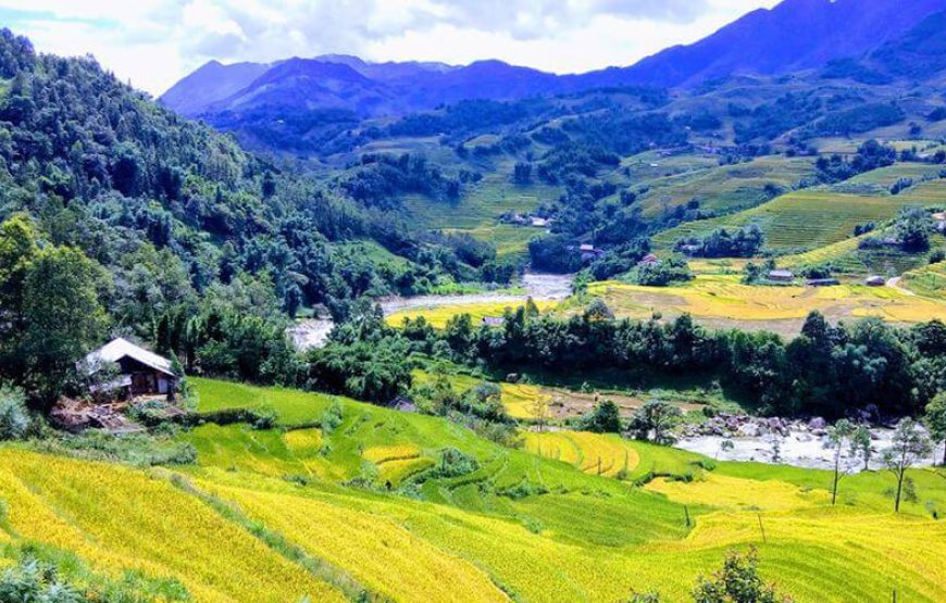 Vietnam Unique Tour – 13days/12nights