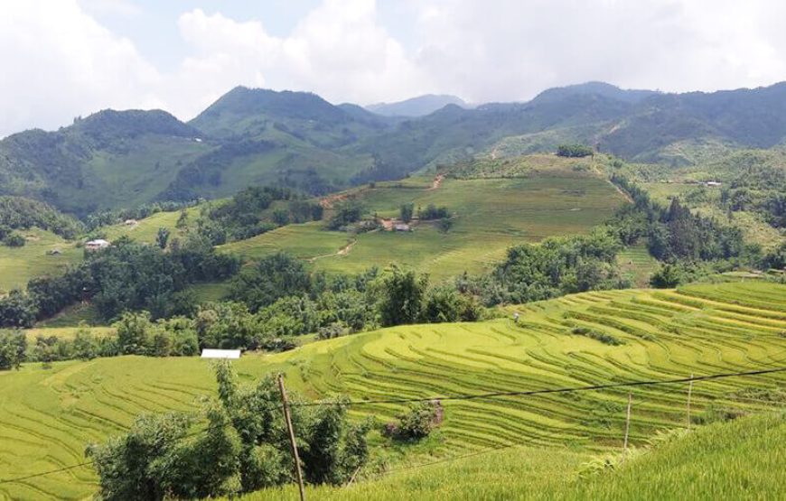 Ha Noi – Ha Long – Sapa – Bac Ha Market – Ninh Binh (8 Days)
