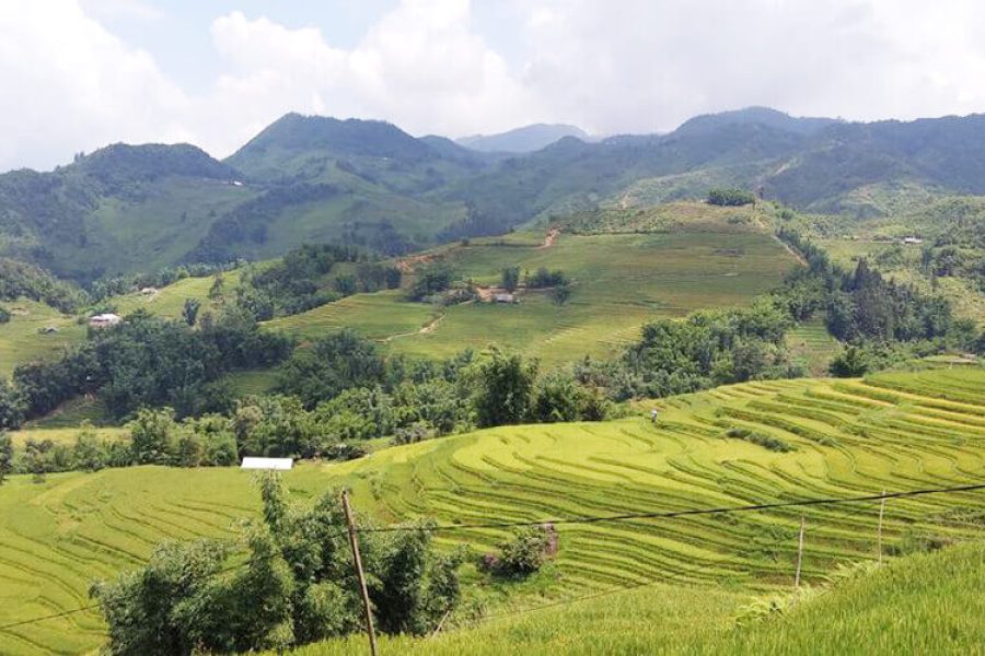 Sapa Trekking Tours 4 Nights - 3 Days