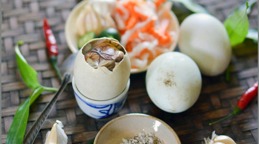 Vietnam’s most weird foods 