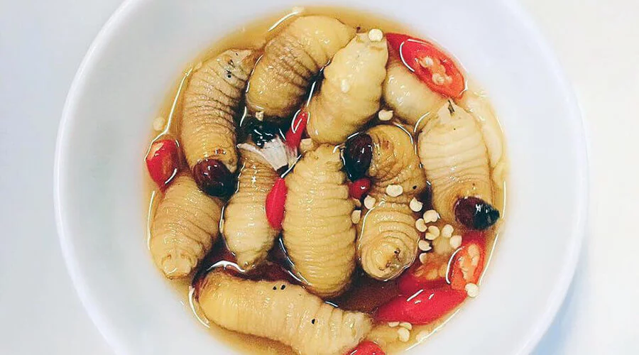 Đuông Dừa Bến Tre Món ăn đặc sản của vùng đất phù sa