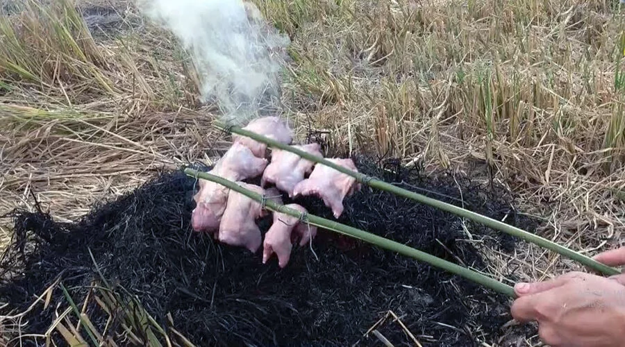 Grilled field-mouse