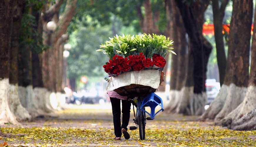 Ha Noi and Ho Chi Minh: where should you visit?