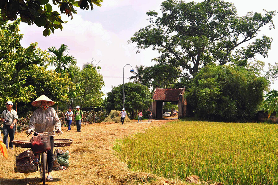 Duong Lam ancient village