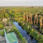 U Minh Ha National Park