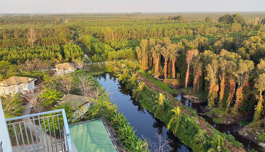 U Minh Ha National Park