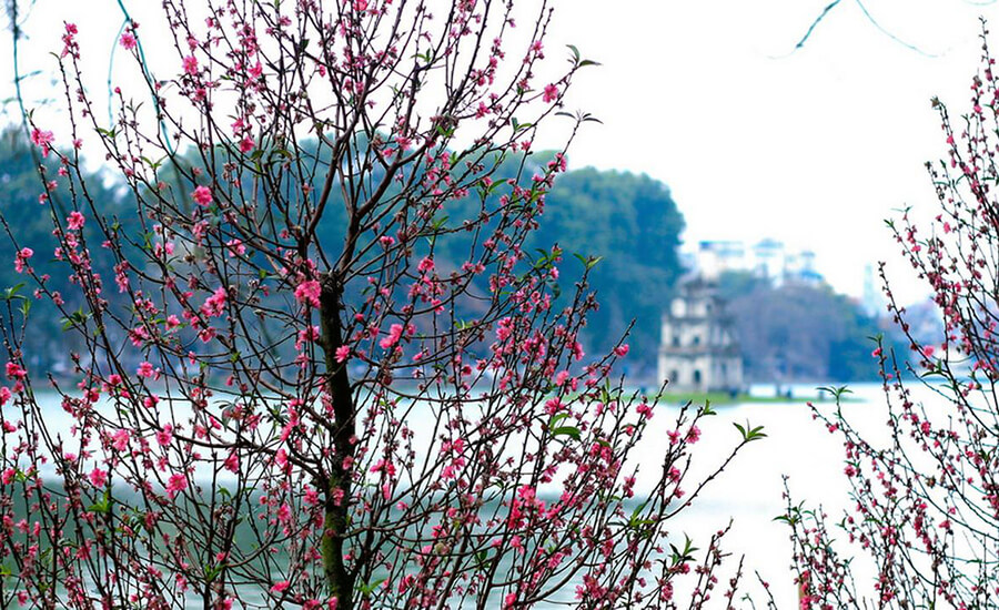 spring in Hanoi