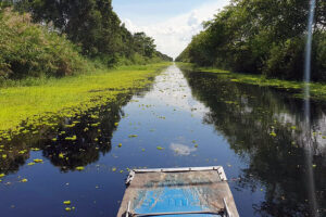 U Minh Thuong national park