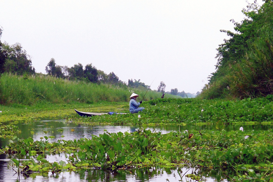 fishing in U Minh Thuong