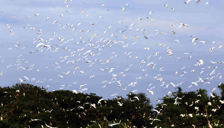 Bang Lang stork sanctuary