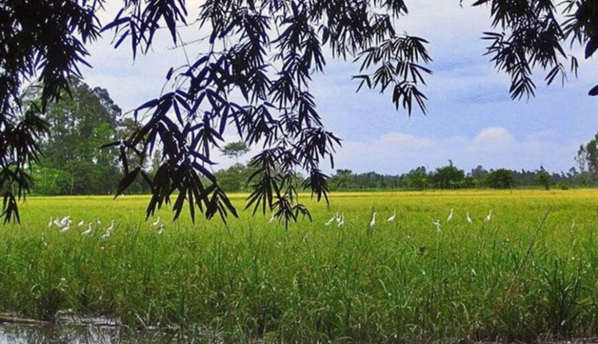 Bang Lang Stork Sanctuary
