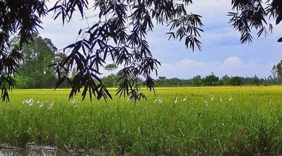 Bang Lang Stork Sanctuary