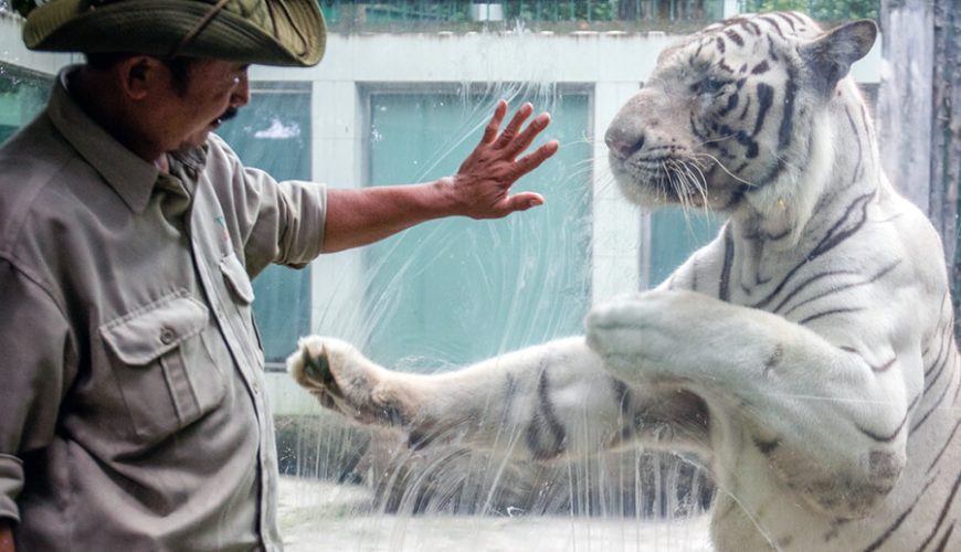 Saigon Zoo
