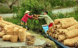 Vi Thuy water hyacinth weaving village