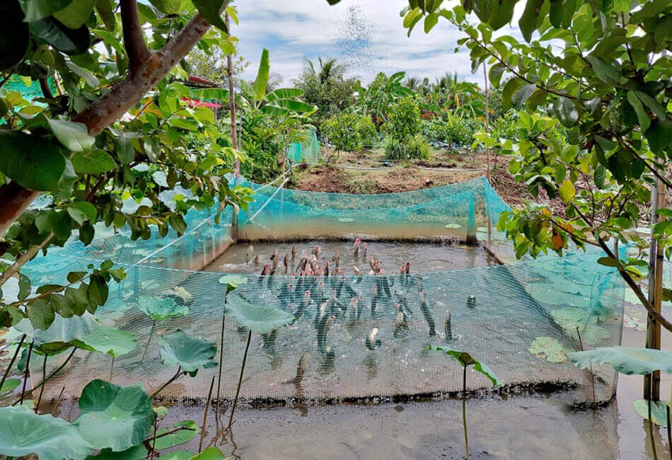 Son islet in Can Tho