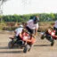 Golden Scorpion Ecotourism