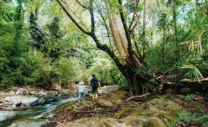 Bu Gia Map national park