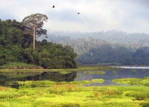 Nam Cat Tien National Park