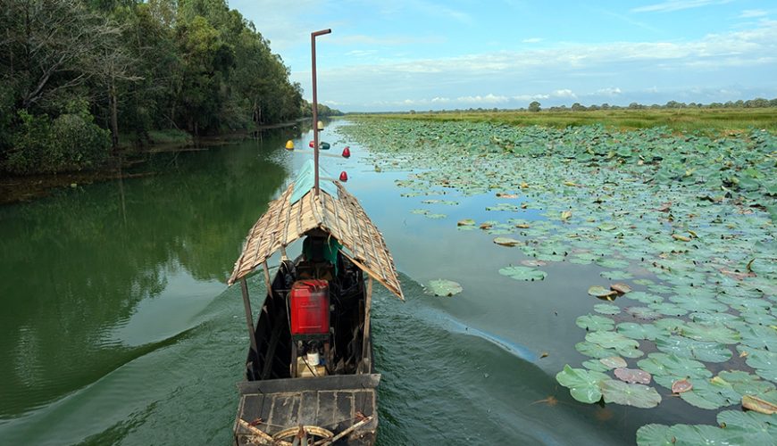 explore Dong Thap