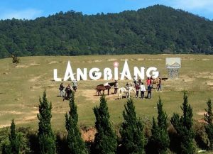 Mountain Langbiang