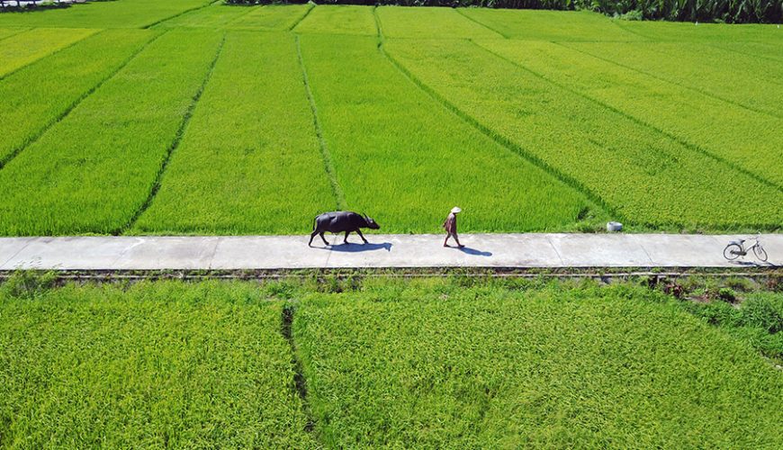 Explore Hoi An