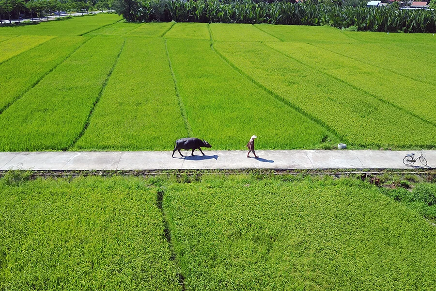 Explore Hoi An