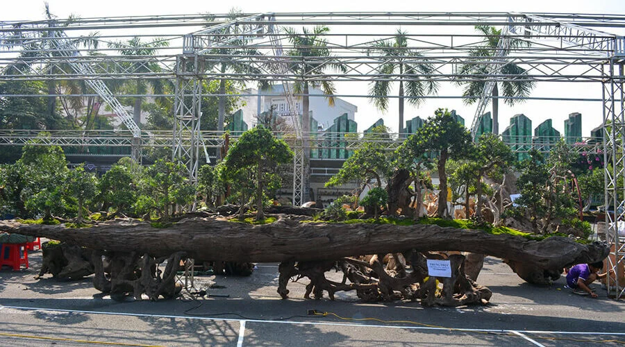 Suoi Tien Theme park