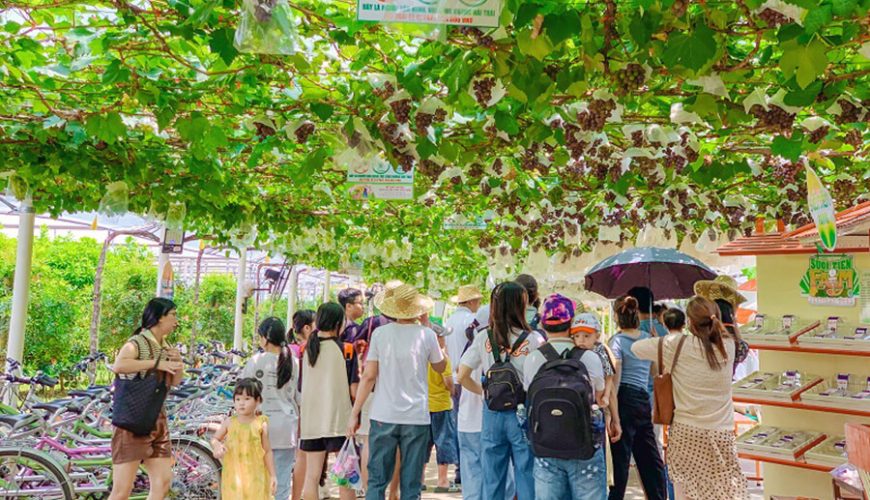 fruit garden in Suoi Tien